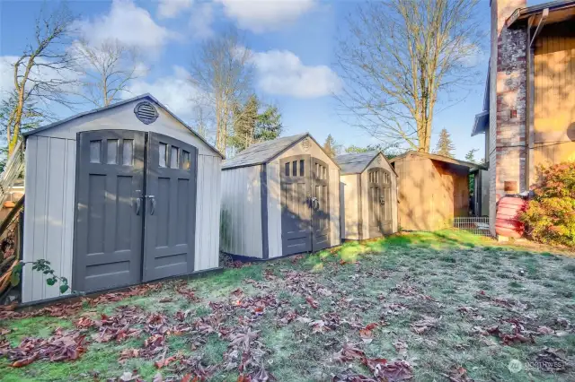 Storage in backyard