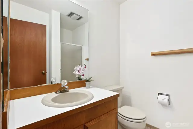 Downstairs bathroom has a shower, and located next to the bedroom.