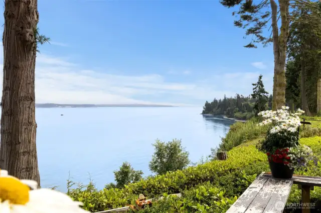 Southeast Views from the Patio