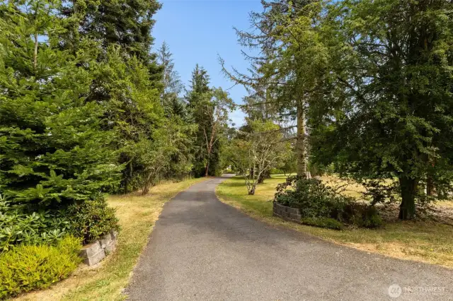 Secluded driveway.