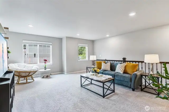 Entertainment Room