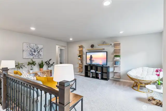 Entertainment Room
