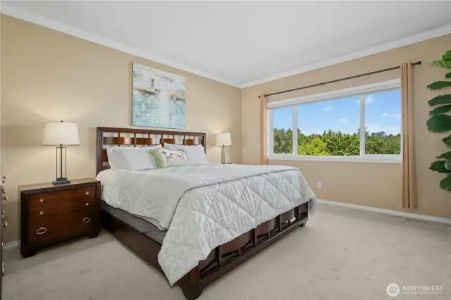 Main Floor Primary Suite. King sized.