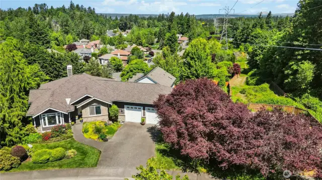 A great location. Western facing. Mature landscaping.