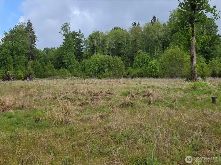 Level 5 acres to create your dream property on