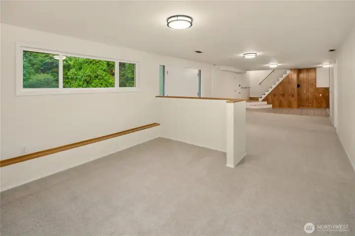 lower level rec room