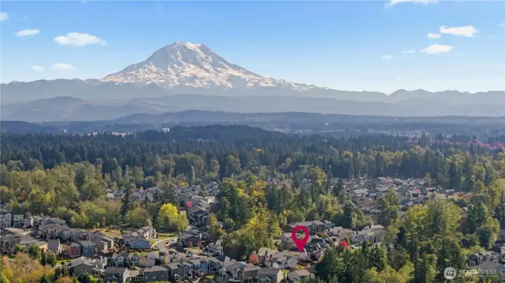 All of this set in the majestic Pacific Northwest!  What a wonderul place to call home!