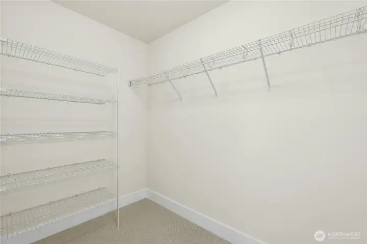 Another bedroom with a walk-in closet