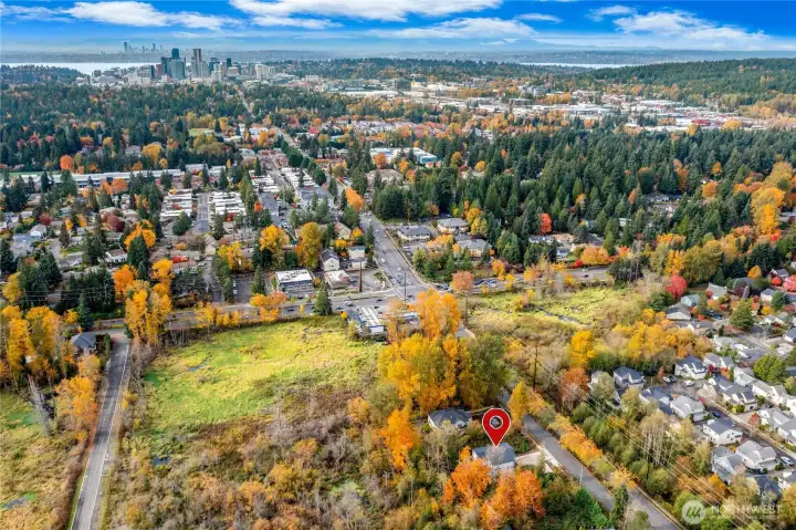 Ideal location in the heart of Bellevue