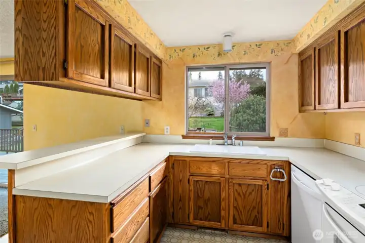 Window looks out to back yard.