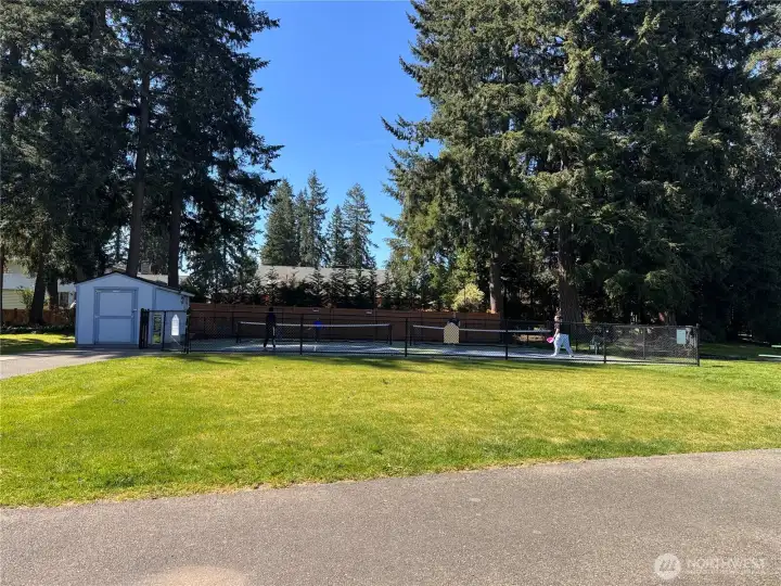 2 full-sized Pickleball courts just three doors down at Allen Park!