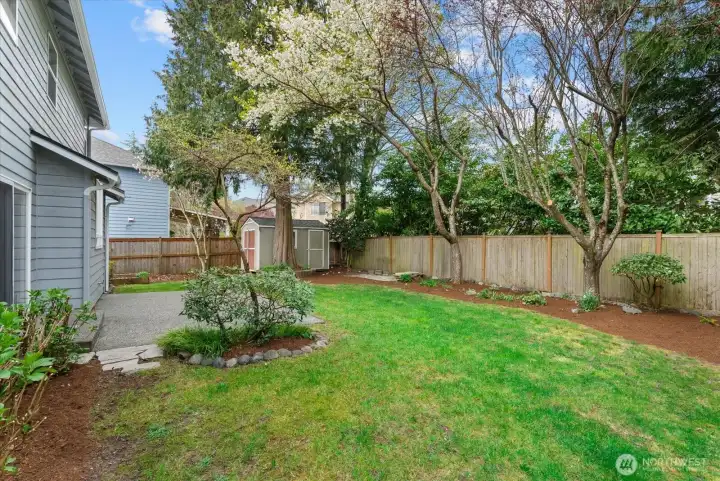 Tranquil, private & fully-fenced backyard