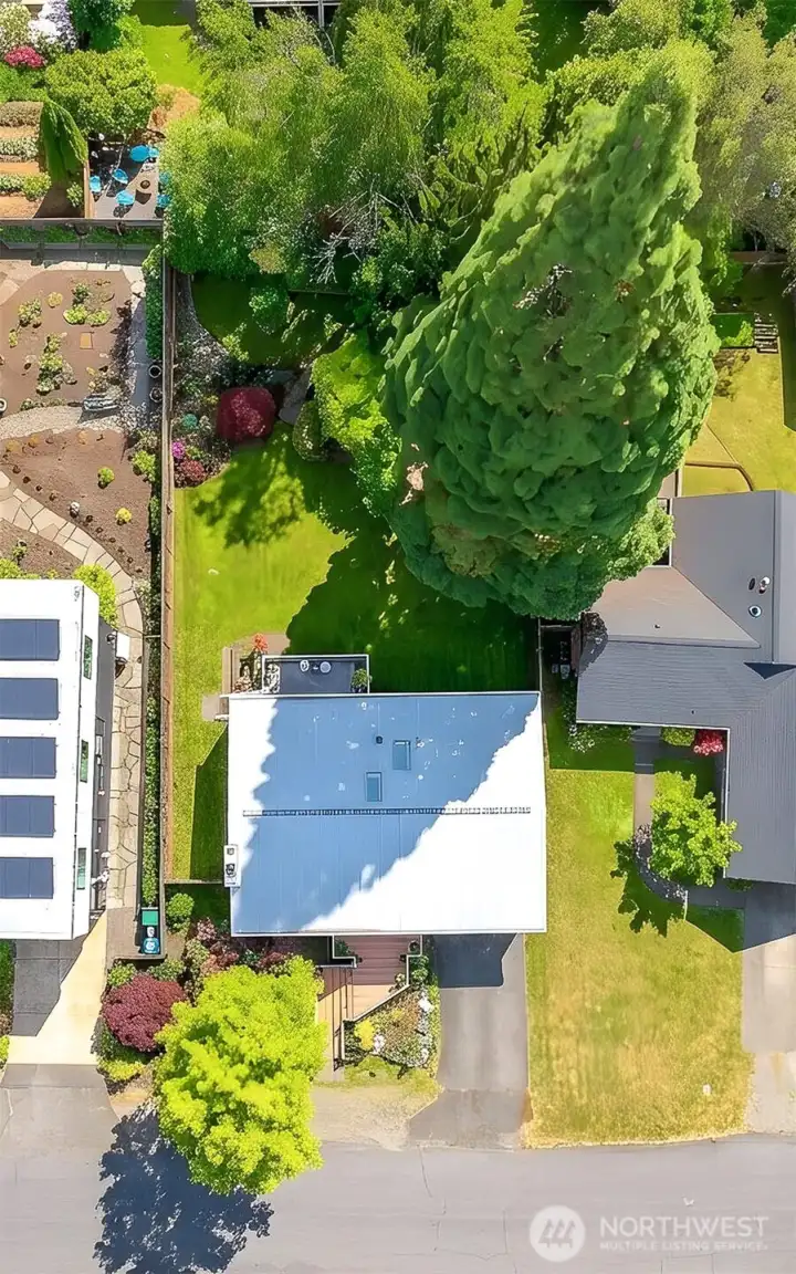 Aerial view of home and lot
