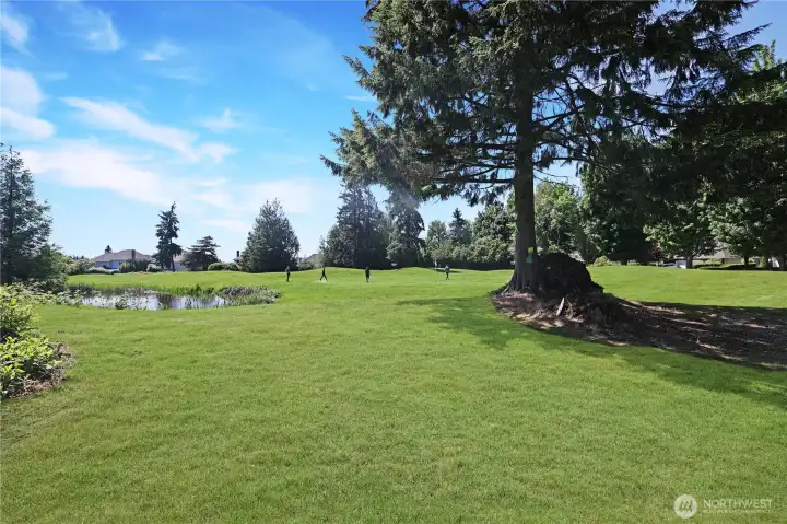 10th Green across street