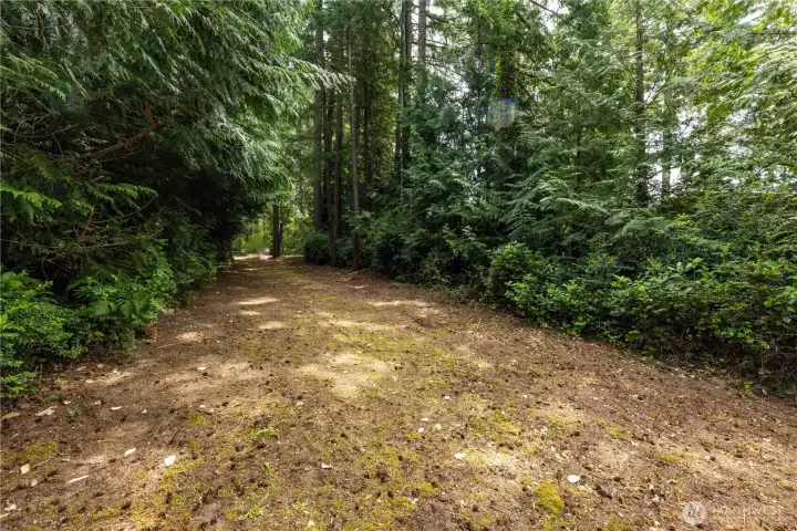 Looking toward the road
