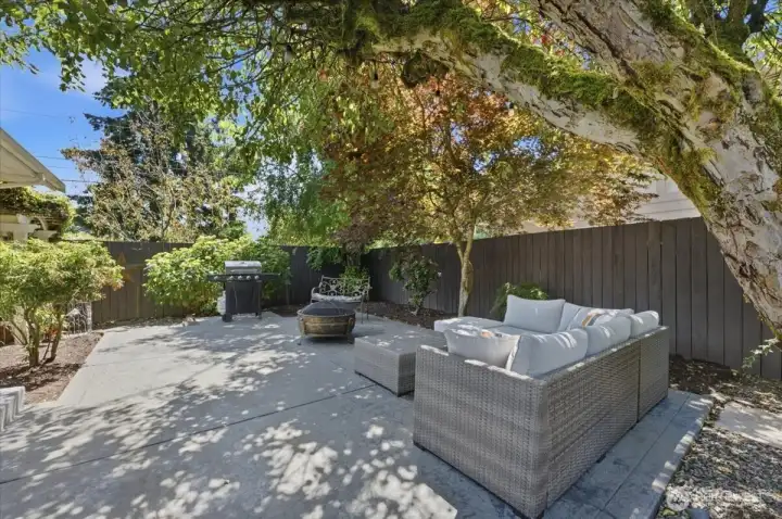 Fully fenced backyard with mature trees, outdoor seating, and low-maintenance landscaping.