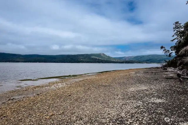 beach looking north