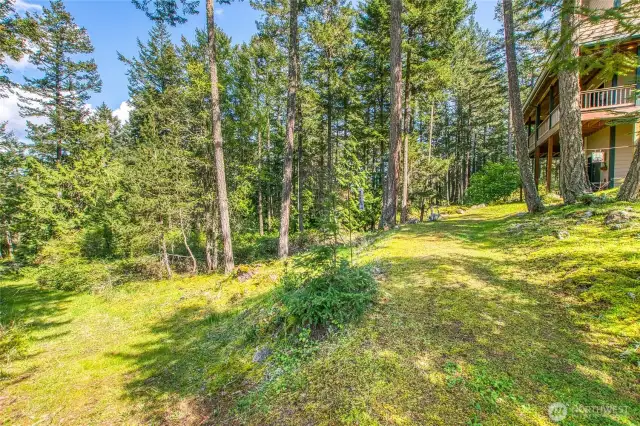 This photo showcases the natural vegetation that surrounds the home. Mossy rock knolls, mixed native forest and blue sky.