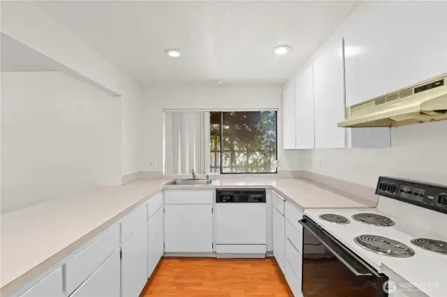 Plenty of counter and cabinet space here!