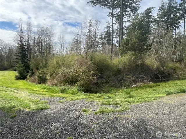Property view looking NW. Grass area is the neighbor to the south