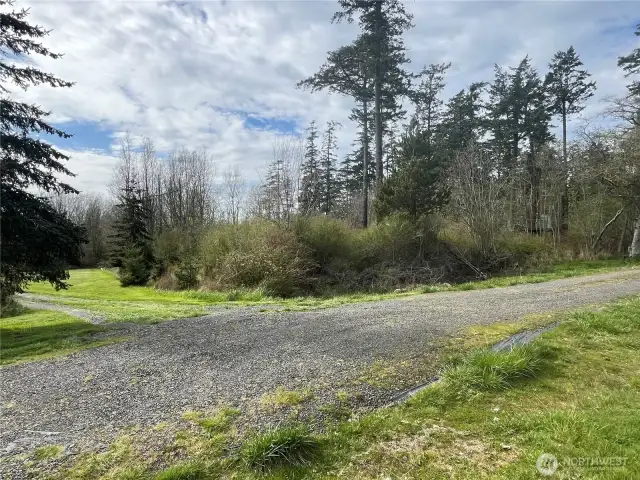View of the property looking NW. Most of the has brush and lightly treed.