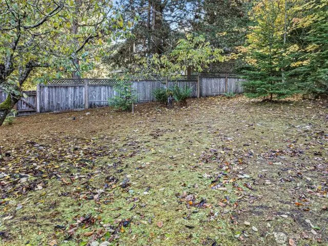 Lots of yard space