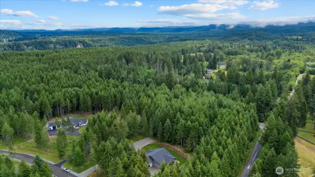 Mt Rainier is just under those clouds! Easy access to Orting trailhead and nature galore.  All with easy access to Bonney Lake, Puyallup, JBLM and more!