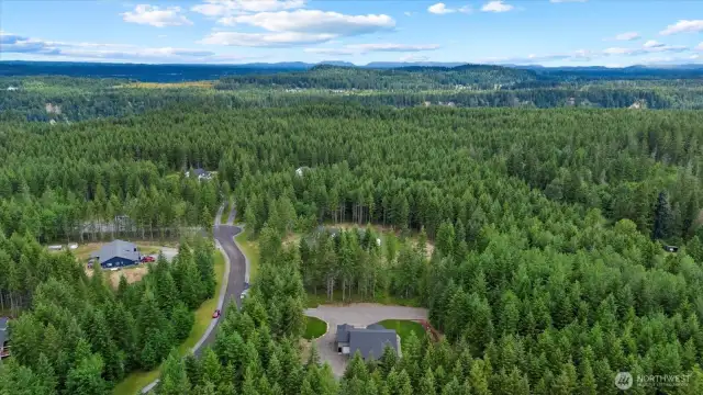 Aerial view shows privacy and beauty galore!