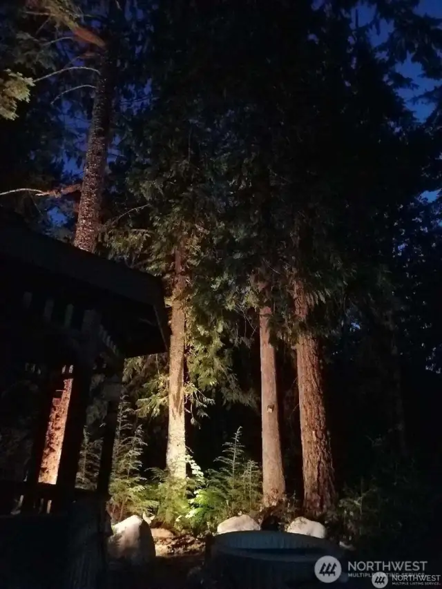Evening magic with solar lights and lit trails