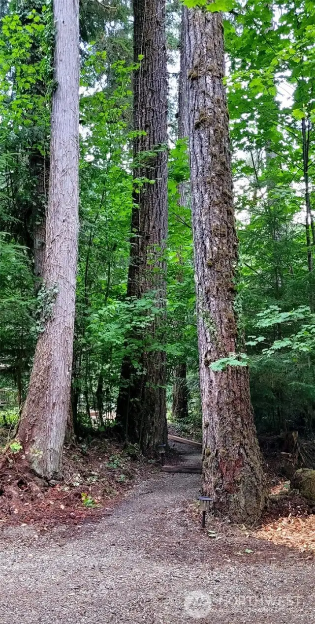 Private meandering trail