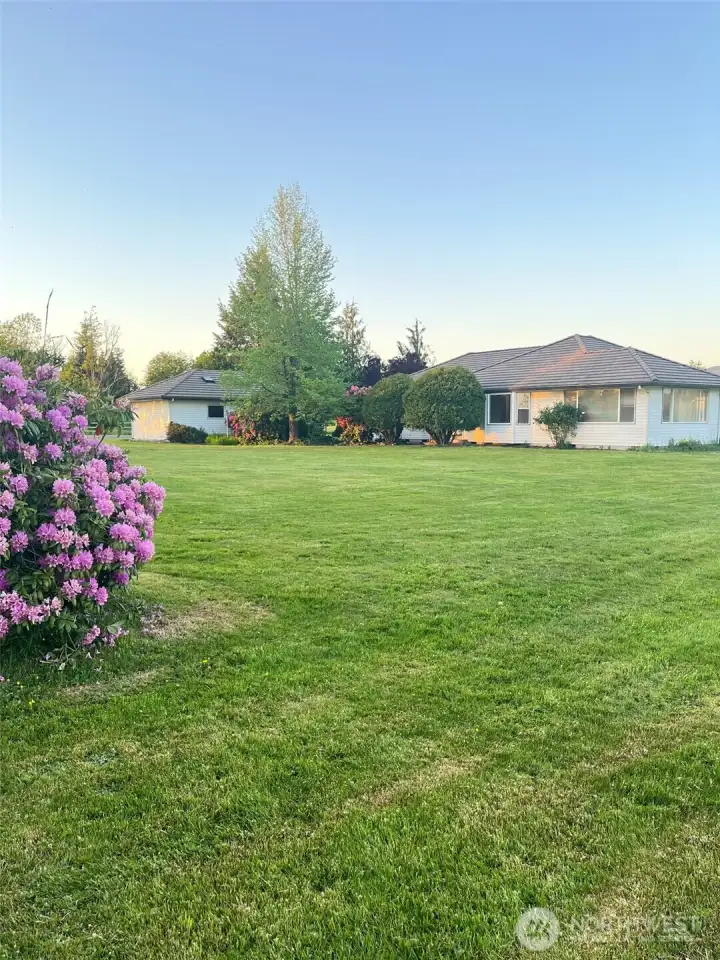 Beautiful front yard.