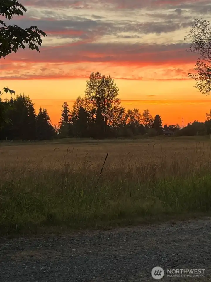 Imagine these sunsets!