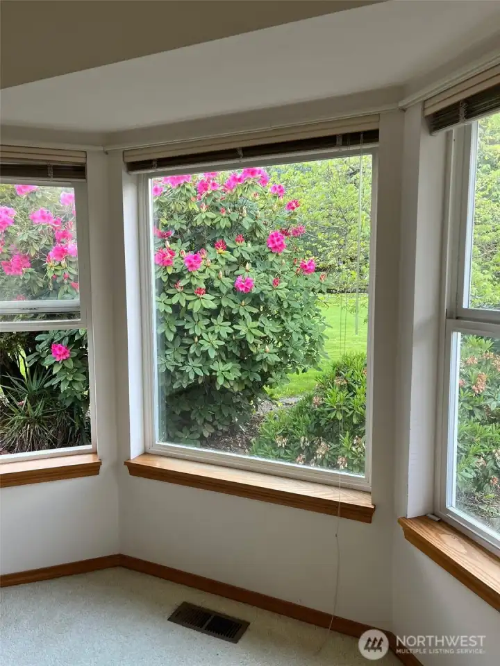 Outside view from Primary