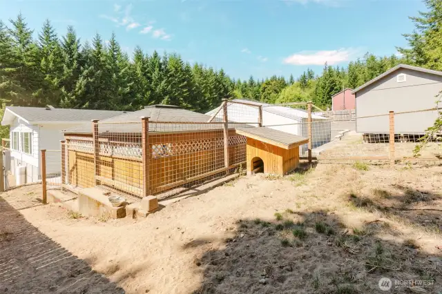 fenced dog run