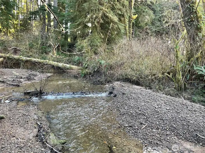 E. Fork of Fairchild Creek, a fish bearing stream, along the SE corner of the property.