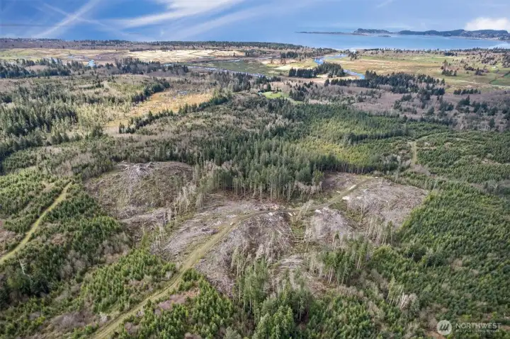 View Looking SouthWest