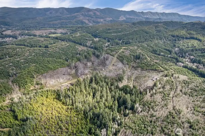 View Looking NorthEast