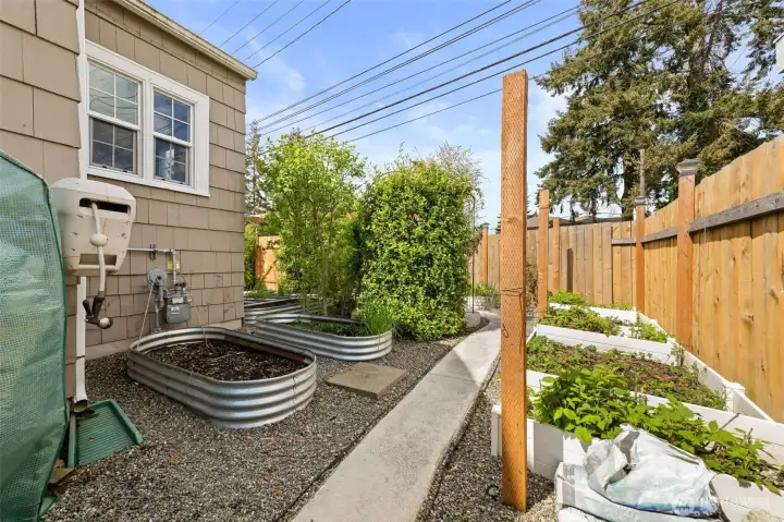 Garden is already growing blueberries, blackberries, strawberries, raspberries, onions & spinach!
