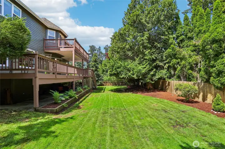Manicured back yard