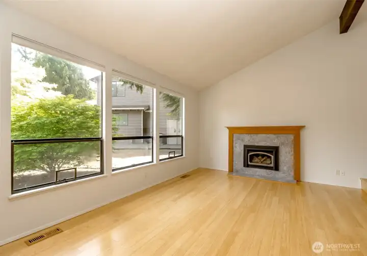 Living Room with Gas Fireplace.