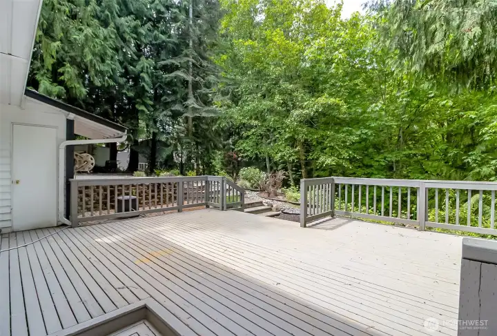 Large Deck