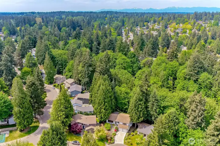 Arial Neighborhood