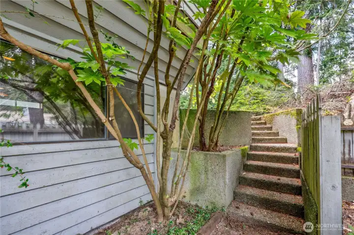 stair going to the back yard