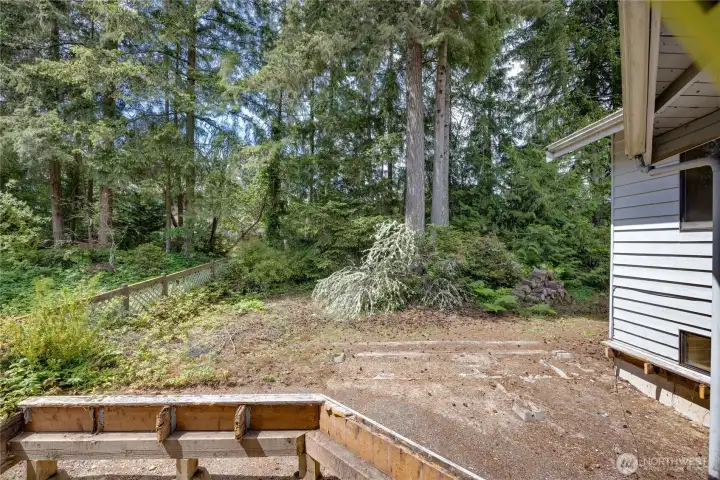 view of the back yard with mature trees