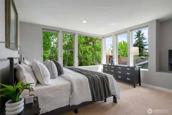 Beautiful tree canopy views Beautiful tree canopy views