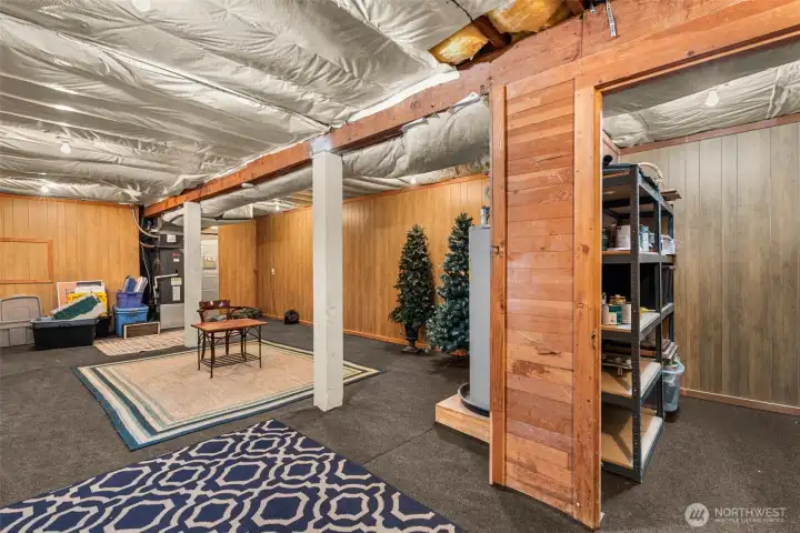 Basement - ideal for future hooby or movie room.