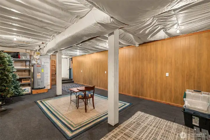 Basement - ideal for future hooby or movie room.