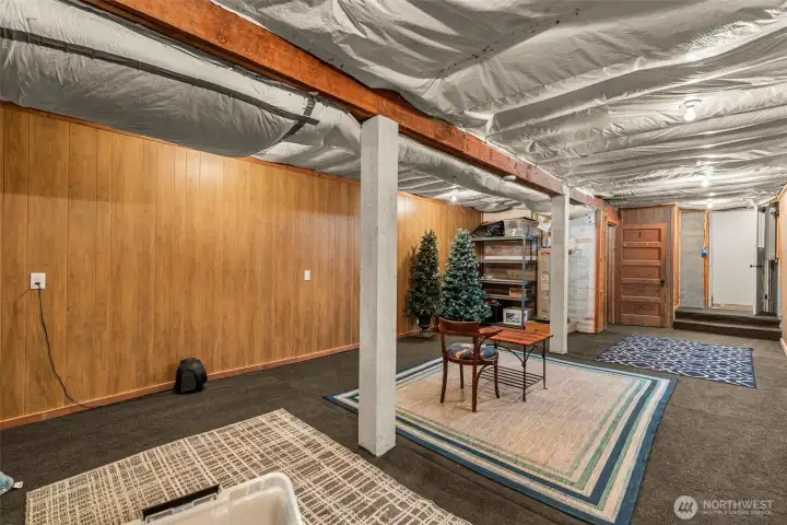 Basement - ideal for future hooby or movie room.