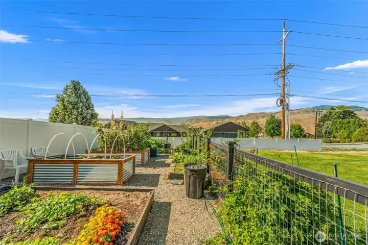 Mature garden area.