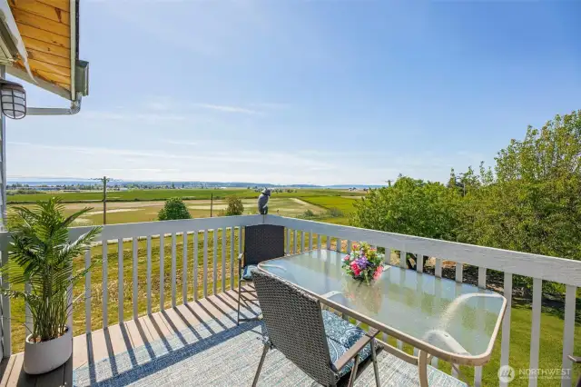 Deck off great room with tongue & groove soffit and massive view